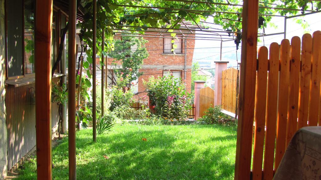 Guesthouse Elena Belogradchik Bagian luar foto