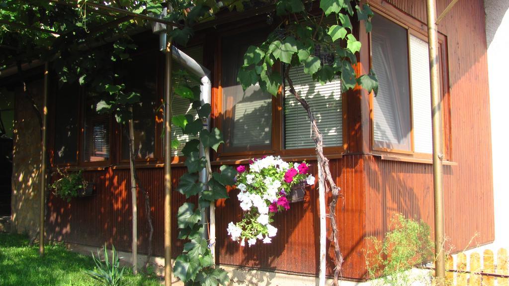 Guesthouse Elena Belogradchik Bagian luar foto